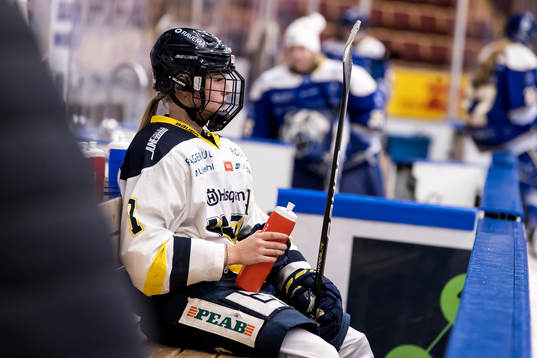 HV71s Thea Johansson deppar