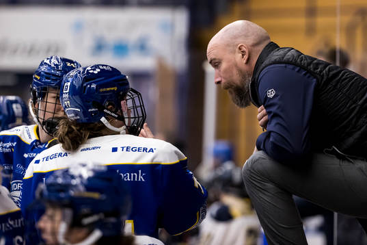 Leksands assisterande tränare Mattias Blomstrand
