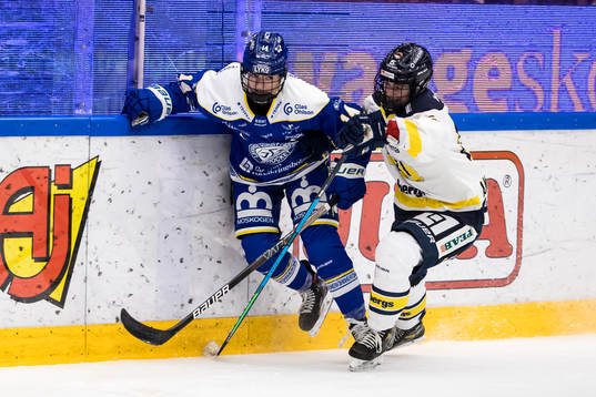 Leksands Payge Pena och HV71s Linnea Andersson