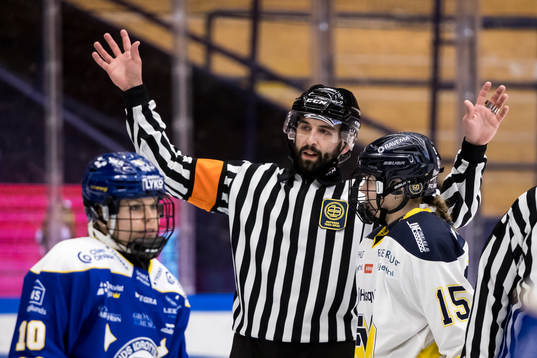 Domare Andreas Wikström
