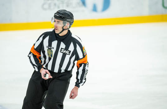 Domare Linus Öhlund