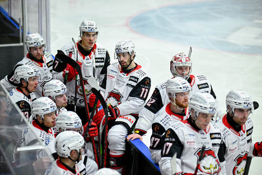 Malmö Redhawks spelare deppar