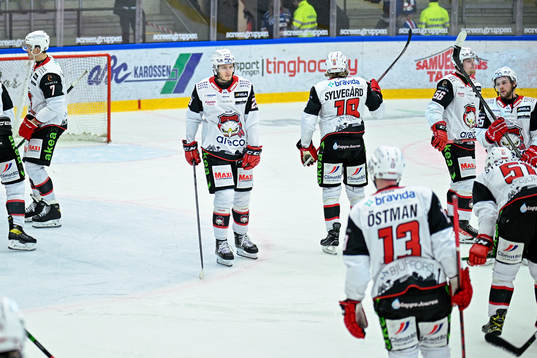 Malmö Redhawks spelare deppar