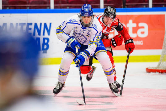 Leksands Lian Bichsel och Malmö Redhawks Ponthus Westerholm