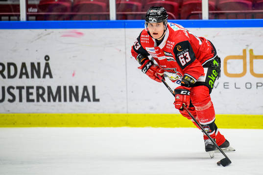 Malmö Redhawks Fredrik Händemark