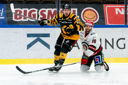 Skellefteås Jayce Hawryluk och Frölundas Stefan Elliot