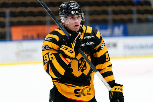 Skellefteås Rickard Hugg