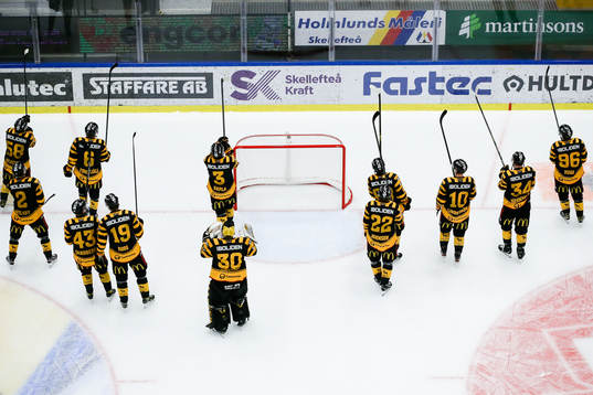 Skellefteå jublar