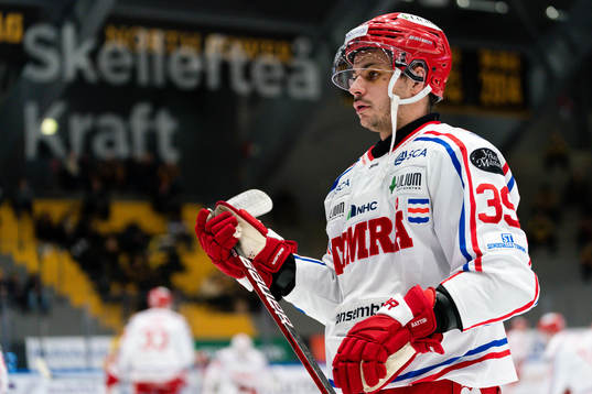 Timrås Ty Rattie