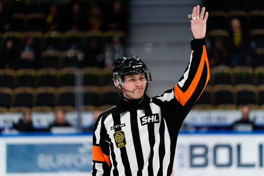 Domare Daniel Eriksson