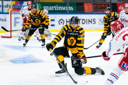Skellefteås Simon Robertsson täcker skott