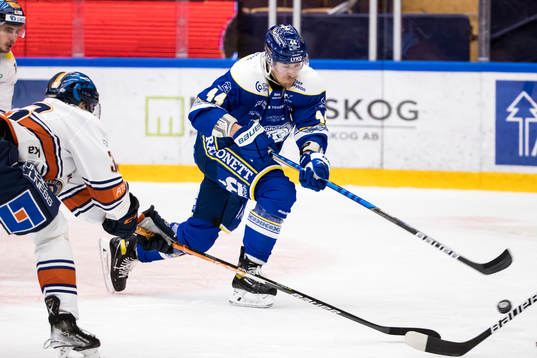 Leksands Carter Ashton