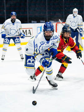 Leksands Payge Pena