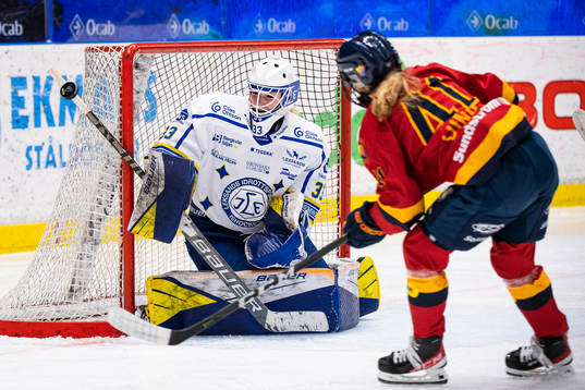 Leksands målvakt Amanda Johansson och Djurgårdens Sofie