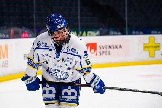 Leksands Gracen Hirschey deppar