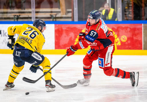 Södertäljes Greg Squires och Västerviks Alfred Barklund