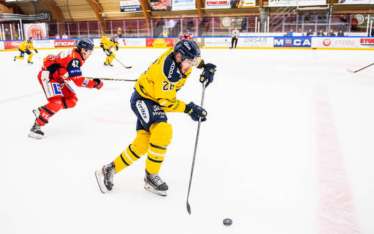Västerviks Max Krogdahl och Södertäljes Greg Squires