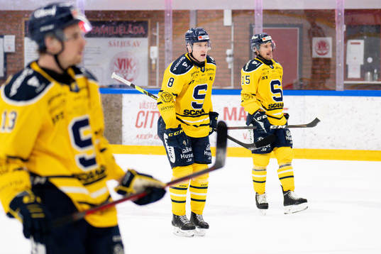 Södertäljes Alexander Anderberg deppar