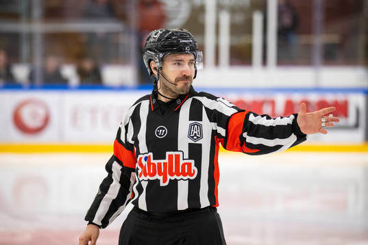 Domare Johan Magnusson