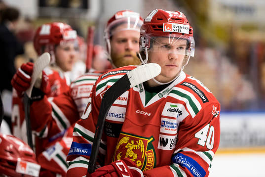 Moras Anton Heikkinen