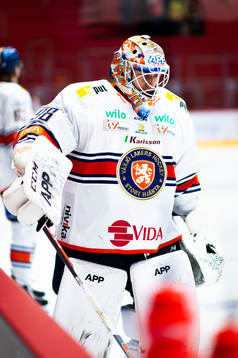 Växjös målvakt Janis Kalnins