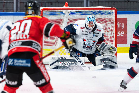 Linköpings målvakt David Rautio