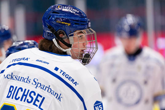 Leksands Lian Bichsel