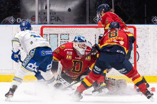Djurgårdens målvakt Mantas Armalis