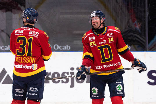 Djurgårdens Dick Axelsson och Stefan Warg