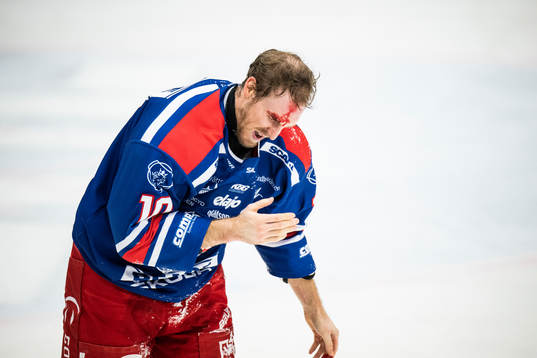 Oskarshamns Dale Weise blöder