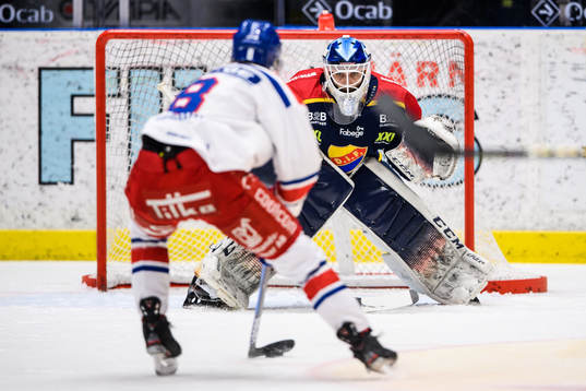 Djurgårdens målvakt Mantas Armalis