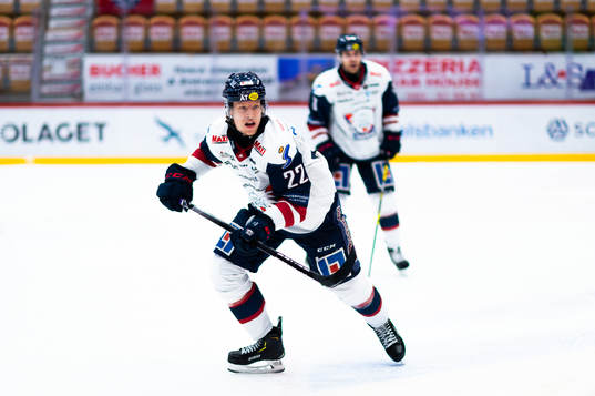 Linköpings Vilmos Gallo