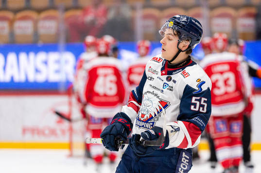 Linköpings Max Lindroth deppar