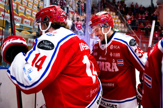 Timrås Ty Rattie
