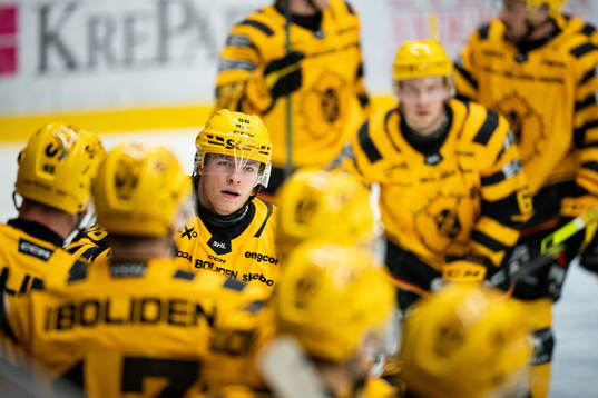 Skellefteås Rickard Hugg jublar