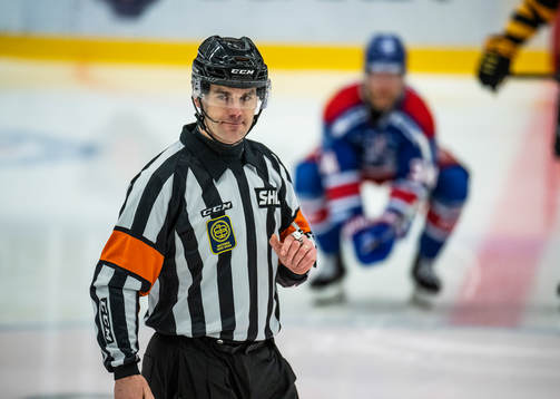 Domare Richard Magnusson