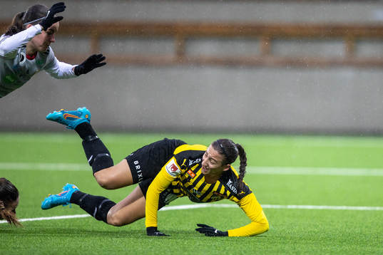 Häckens Rosa Kafaji skadas