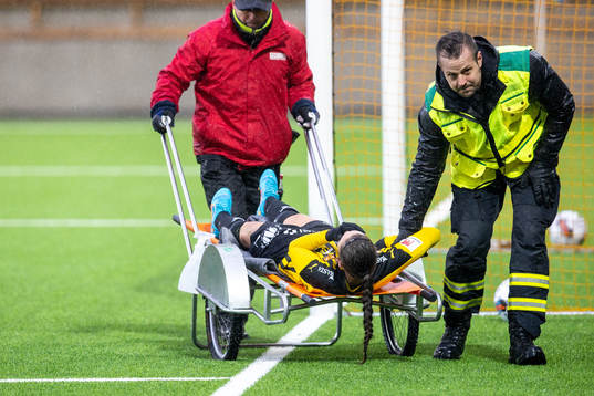 Häckens Rosa Kafaji skadas