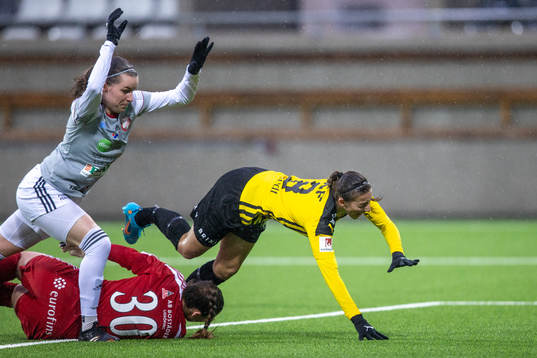Häckens Rosa Kafaji skadas