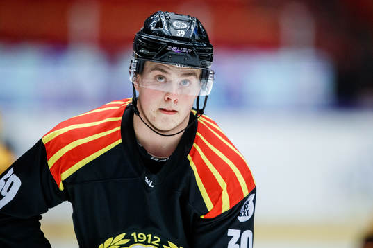 Brynäs Adam Dahlström