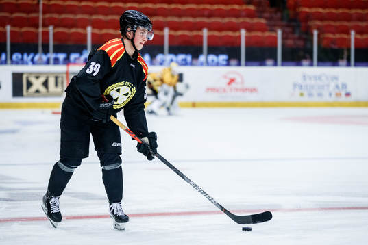 Brynäs Adam Dahlström