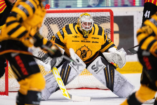 Skellefteås målvakt Strauss Mann