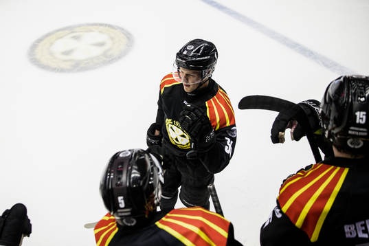 Brynäs Linus Ölundjublar