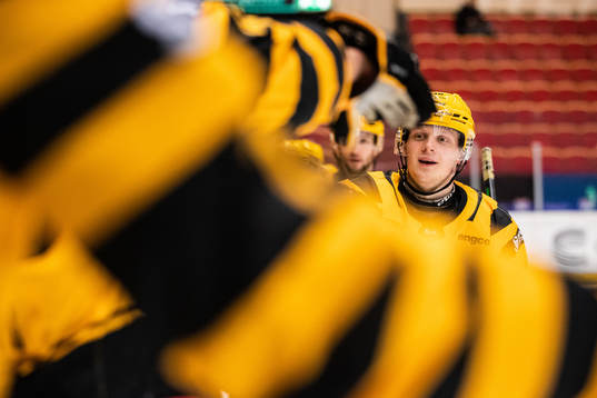 Skellefteås Linus Lindström jublar