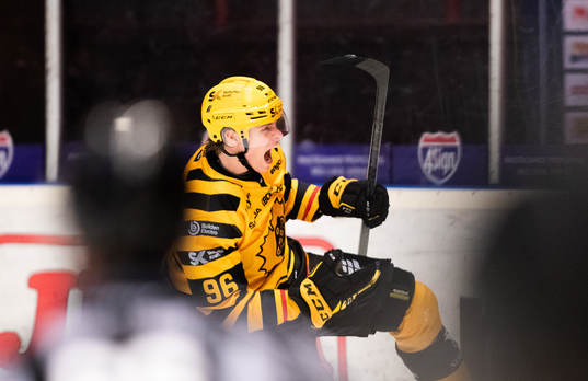 Skellefteås Rickard Hugg jublar