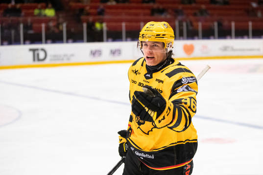 Skellefteås Rickard Hugg jublar
