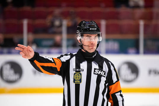 Domare Richard Magnusson