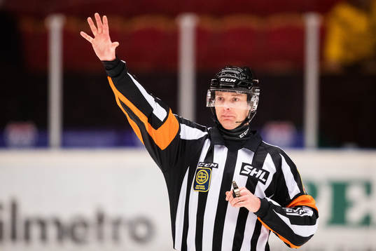 Domare Mikael Andersson