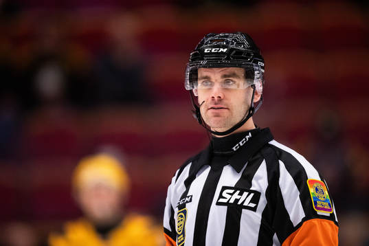 Domare Richard Magnusson
