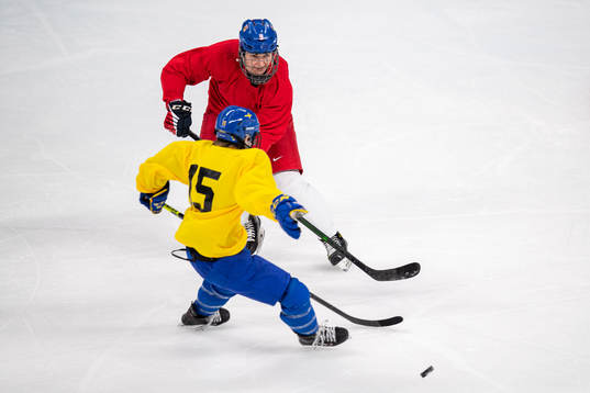 Alena Mills of Czech Republic and Lisa Johansson of Sweden